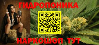 гидра Можга